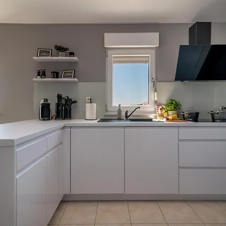 No. 8 * טרוגיר